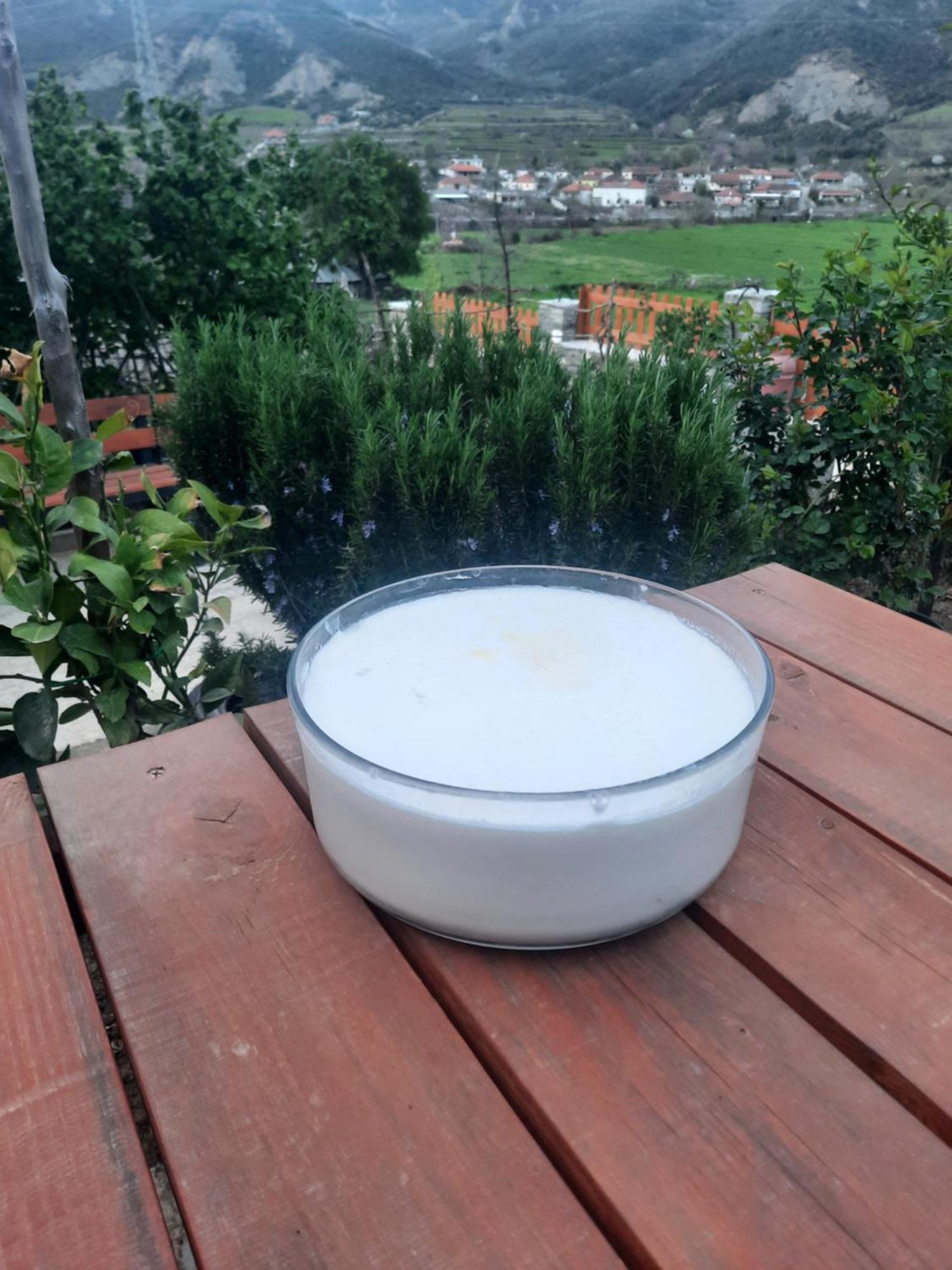 Përmet Bujtina Lugina E Vjoses 빌라 외부 사진
