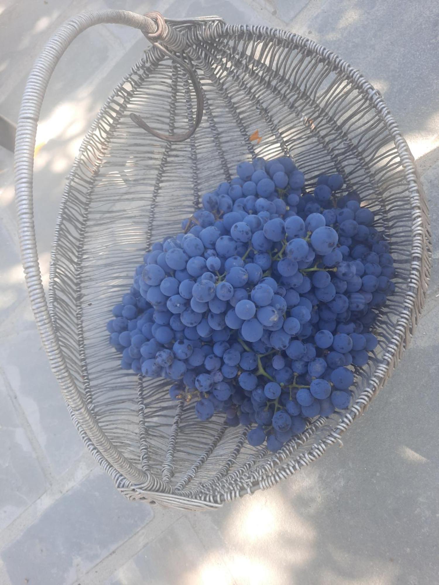 Përmet Bujtina Lugina E Vjoses 빌라 외부 사진